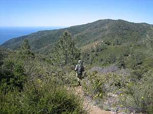 Silver Peak Salmon at Ridge.